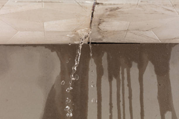Professional Sewage Cleanup technician working in Moline, MI